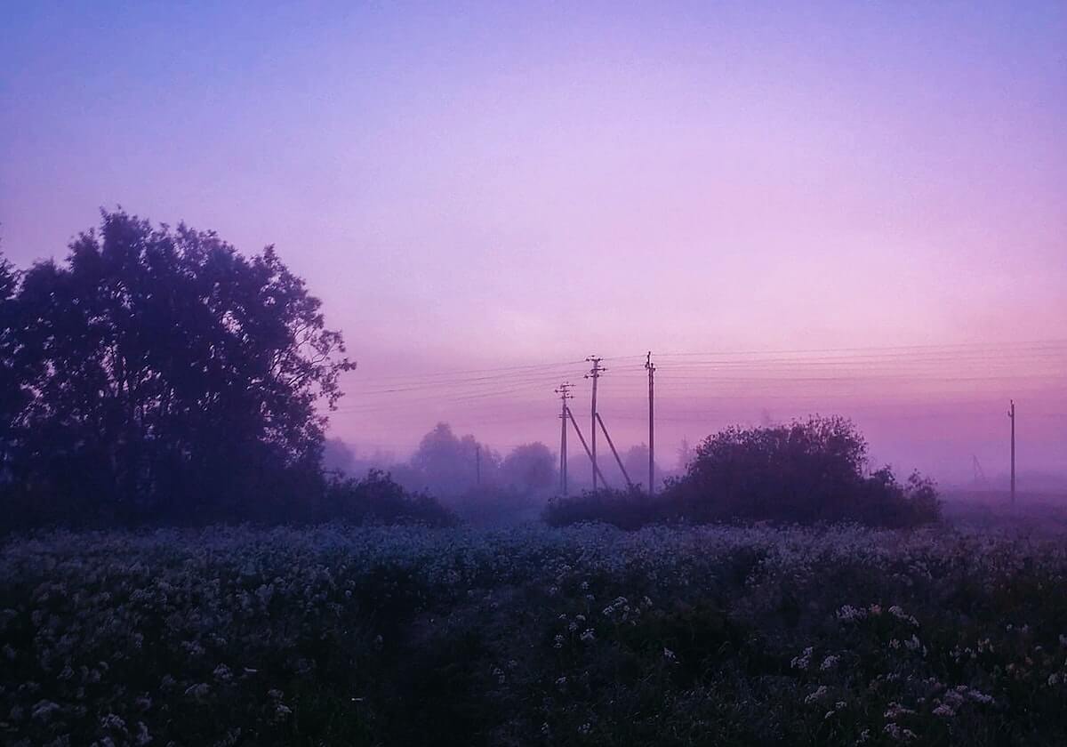 kaiyun-广东队记社媒分享昨日广东男篮比赛动态：今日份的快乐
